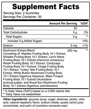 Mushroom Extract Complex Gummies