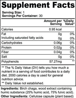 Birch Chaga Microbiome Wellness Capsules